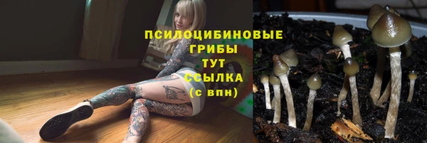 ПСИЛОЦИБИНОВЫЕ ГРИБЫ Балахна
