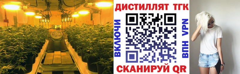 магазин продажи   Печора  ТГК гашишное масло 